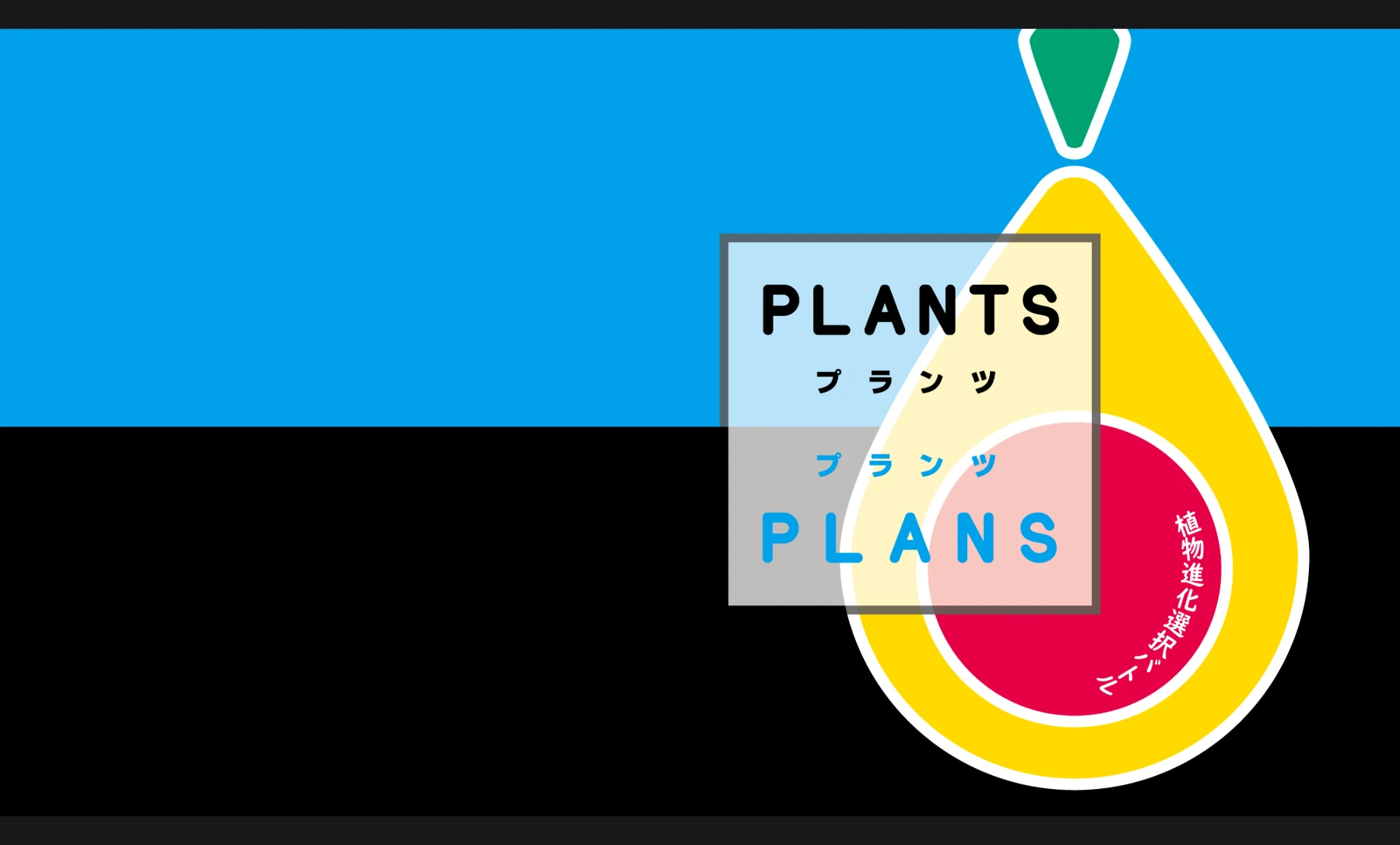 PLANTS　PLANS