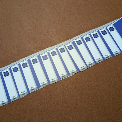 鮫島事件の真相 - 2