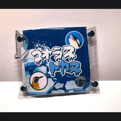 コオラストカス - 4