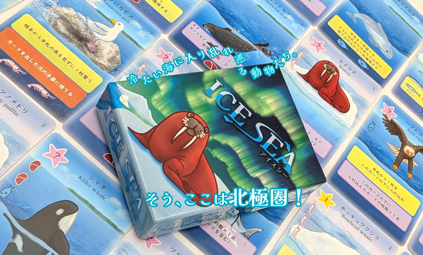 ICE SEA（アイスシー）