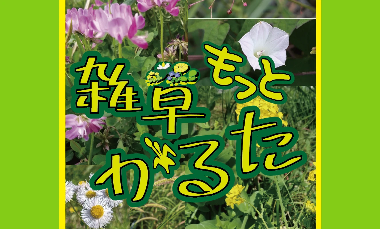 もっと雑草かるた